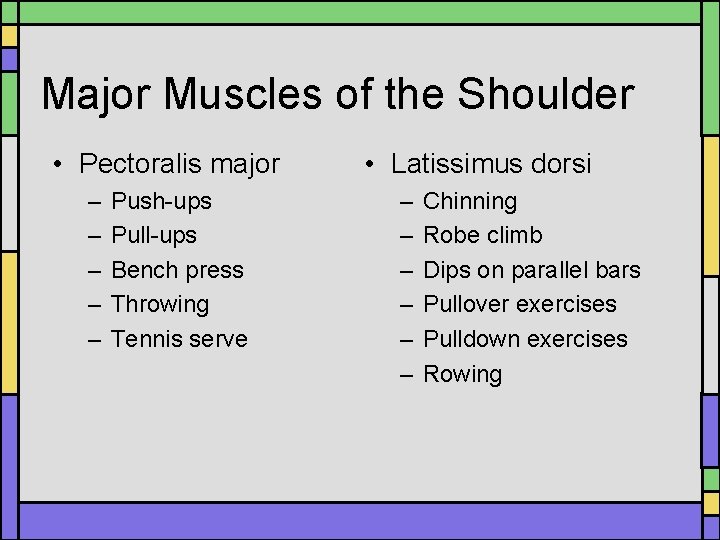 Major Muscles of the Shoulder • Pectoralis major – – – Push-ups Pull-ups Bench Major Muscles of the Shoulder • Pectoralis major – – – Push-ups Pull-ups Bench