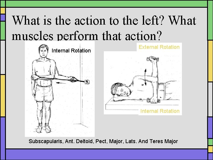 What is the action to the left? What muscles perform that action? Internal Rotation What is the action to the left? What muscles perform that action? Internal Rotation