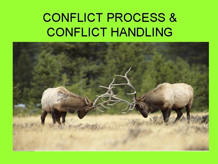 CONFLICT PROCESS & CONFLICT HANDLING 