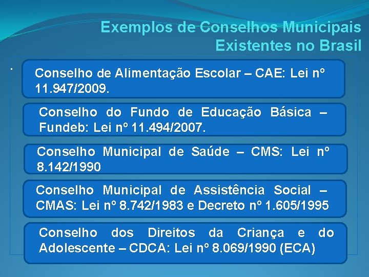Exemplos de Conselhos Municipais Existentes no Brasil. Conselho de Alimentação Escolar – CAE: Lei