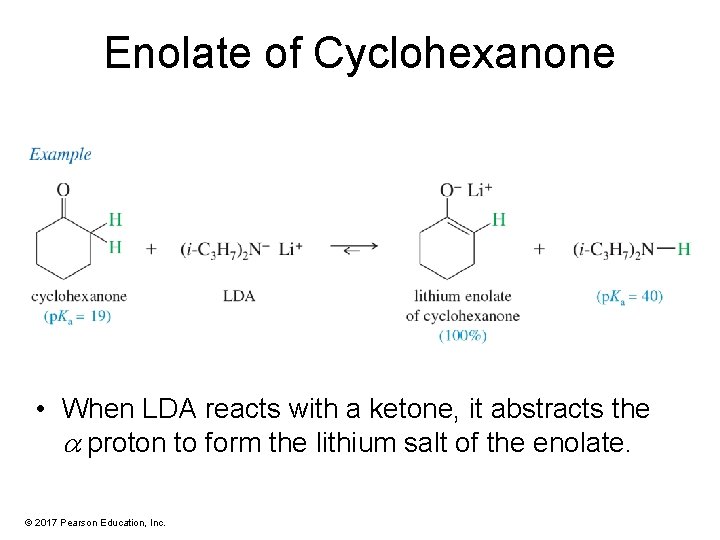 Enolate of Cyclohexanone • When LDA reacts with a ketone, it abstracts the proton