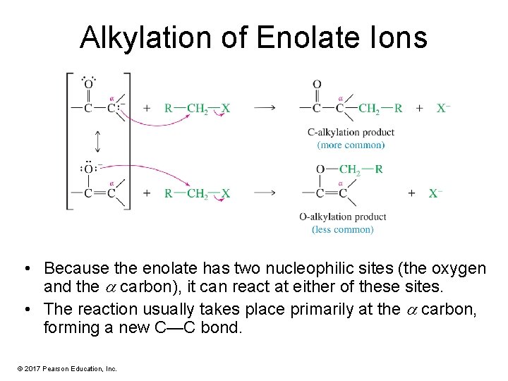 Alkylation of Enolate Ions • Because the enolate has two nucleophilic sites (the oxygen