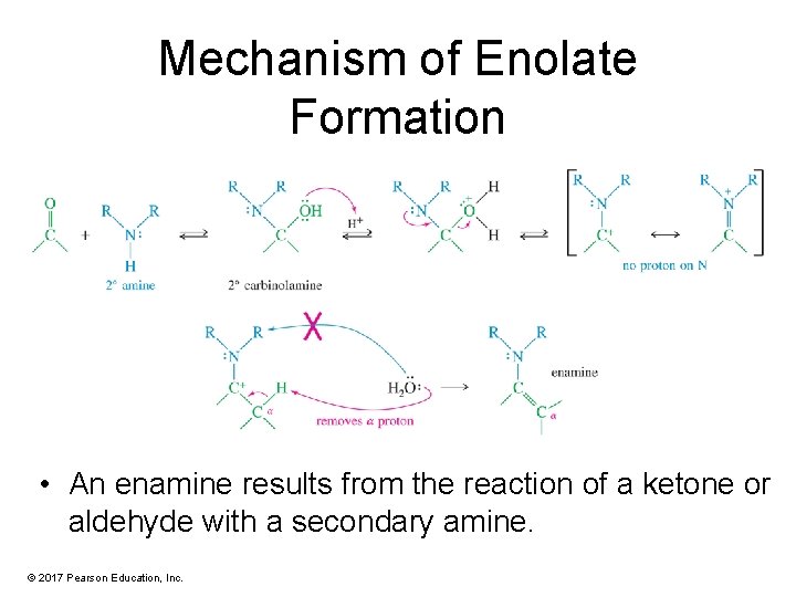 Mechanism of Enolate Formation • An enamine results from the reaction of a ketone