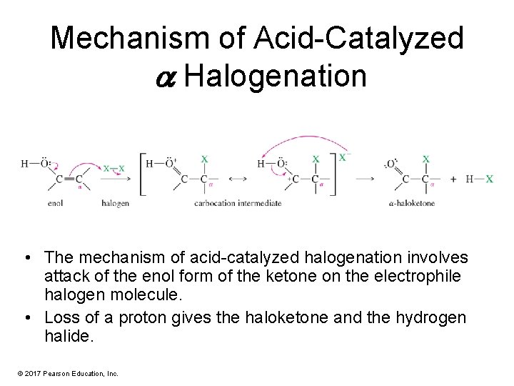 Mechanism of Acid-Catalyzed a Halogenation • The mechanism of acid-catalyzed halogenation involves attack of