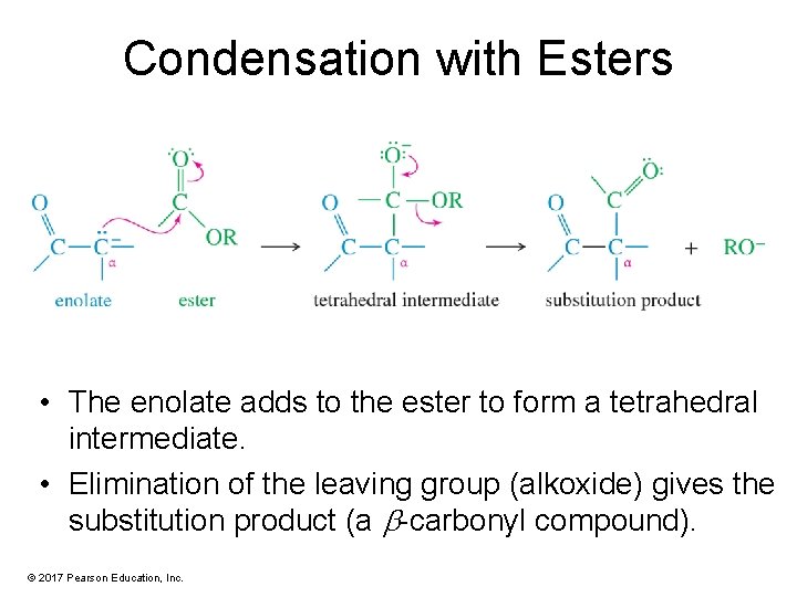 Condensation with Esters • The enolate adds to the ester to form a tetrahedral
