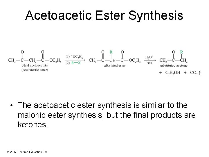 Acetoacetic Ester Synthesis • The acetoacetic ester synthesis is similar to the malonic ester