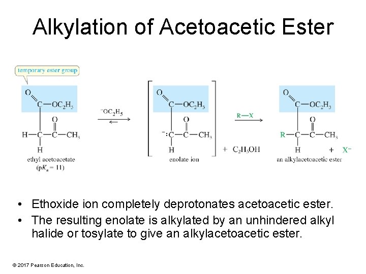 Alkylation of Acetoacetic Ester • Ethoxide ion completely deprotonates acetoacetic ester. • The resulting