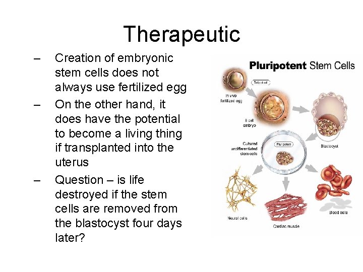 Therapeutic – – – Creation of embryonic stem cells does not always use fertilized