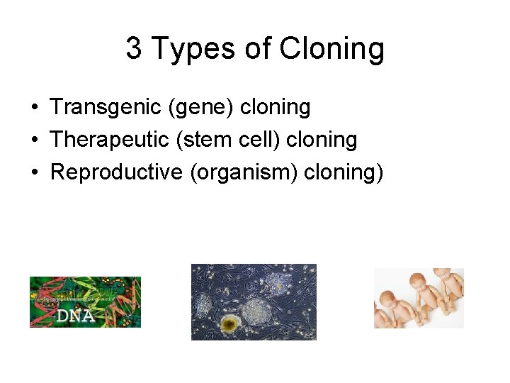 3 Types of Cloning • Transgenic (gene) cloning • Therapeutic (stem cell) cloning •