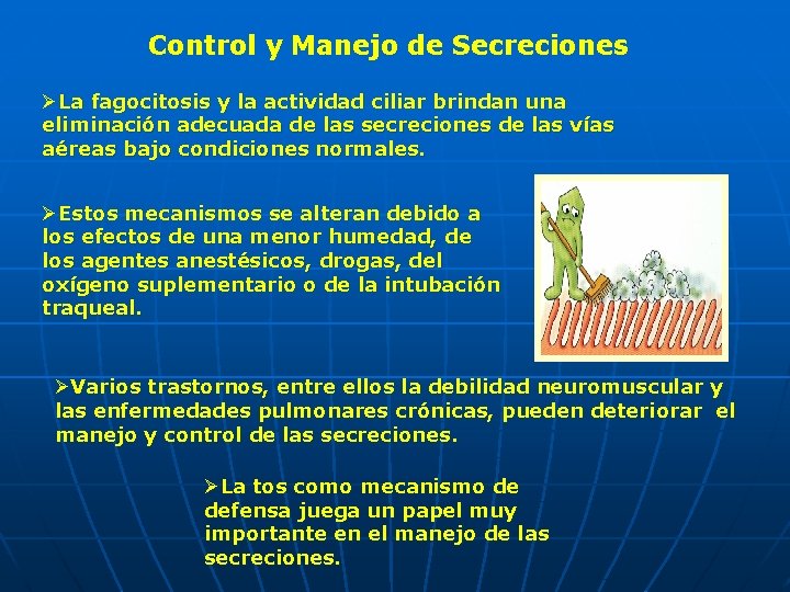 Control y Manejo de Secreciones ØLa fagocitosis y la actividad ciliar brindan una eliminación