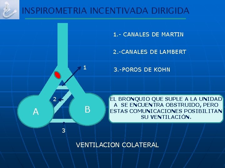 INSPIROMETRIA INCENTIVADA DIRIGIDA 1. - CANALES DE MARTIN 2. -CANALES DE LAMBERT 1 2