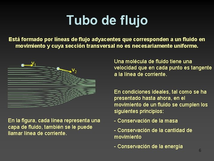 Tubo de flujo Está formado por líneas de flujo adyacentes que corresponden a un