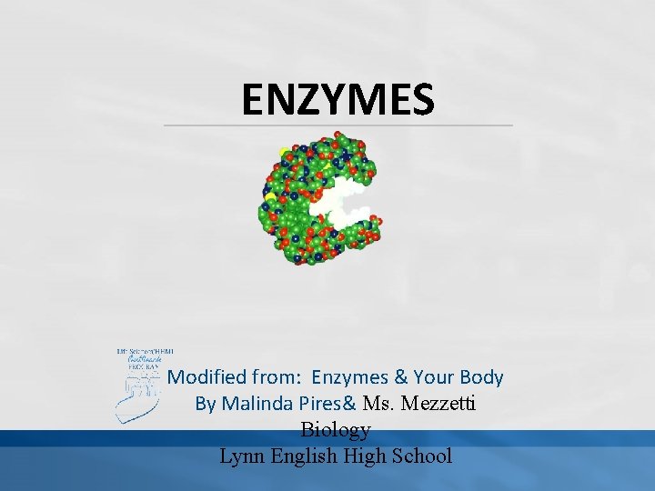 ENZYMES Modified from: Enzymes & Your Body By Malinda Pires& Ms. Mezzetti Biology Lynn