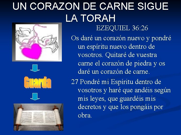 UN CORAZON DE CARNE SIGUE LA TORAH EZEQUIEL 36: 26 Os daré un corazón