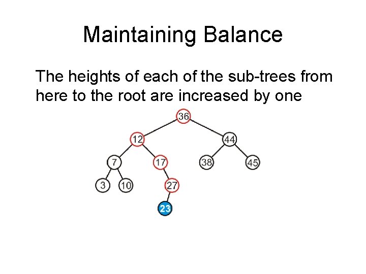 Maintaining Balance The heights of each of the sub-trees from here to the root