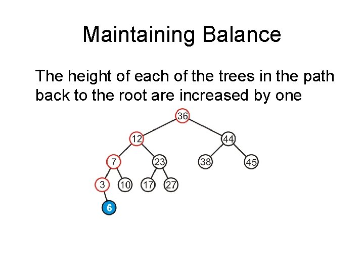 Maintaining Balance The height of each of the trees in the path back to