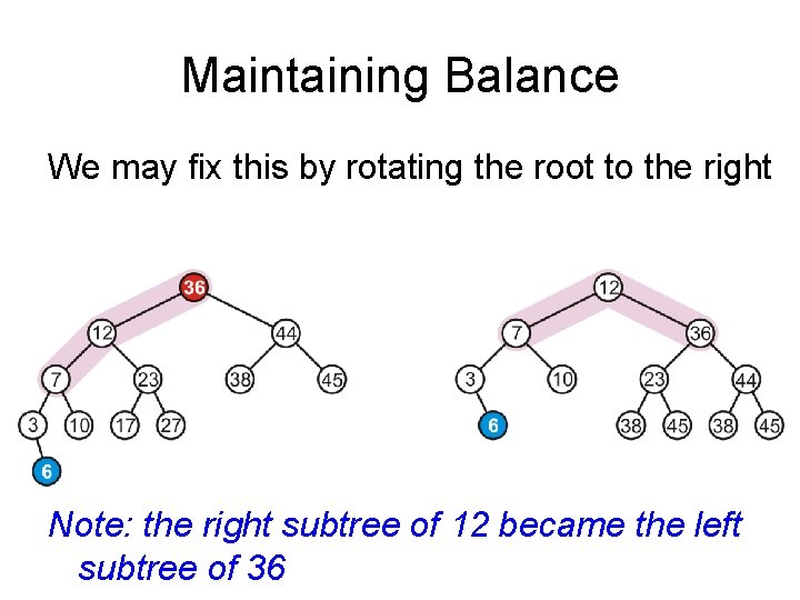 Maintaining Balance We may fix this by rotating the root to the right Note: