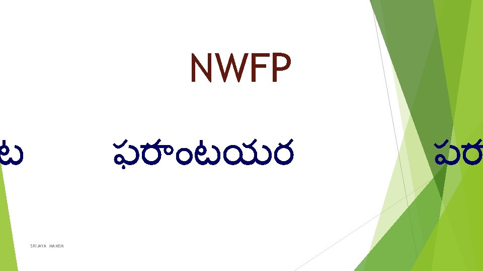 NWFP ట ఫర టయర SRIJAYA MANEM పర 