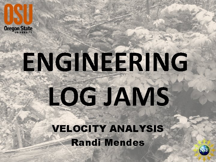 ENGINEERING LOG JAMS VELOCITY ANALYSIS Randi Mendes 