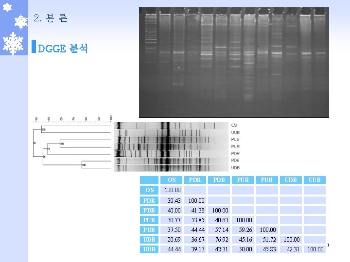 2. 본 론 DGGE 분석 OS PDR PDB PUR PUB UDB OS 100. 00
