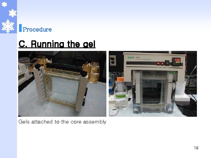 Procedure C. Running the gel Gels attached to the core assembly 16 