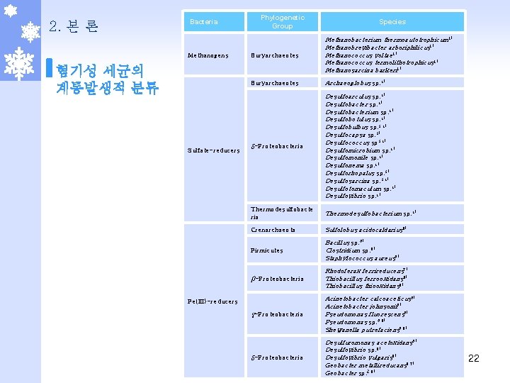 2. 본 론 Bacteria Methanogens 혐기성 세균의 계통발생적 분류 Sulfate-reducers Phylogenetic Group Species Euryarchaeotes