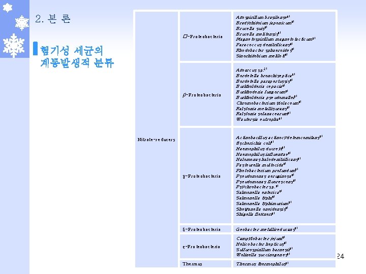 2. 본 론 �-Proteobacteria Azospirillum brasilense 8) Bradyrhizoium japonicum 8) Brucella suis 8) Brucella