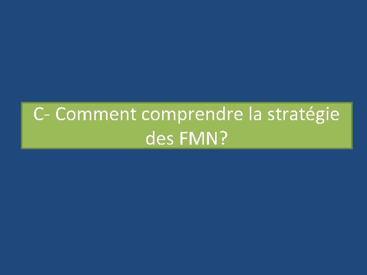 C- Comment comprendre la stratégie des FMN? 