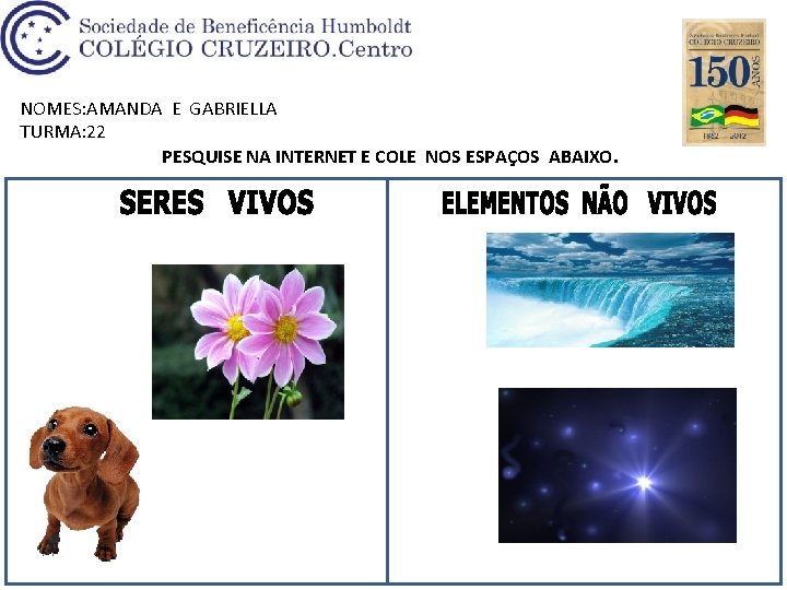 NOMES: AMANDA E GABRIELLA TURMA: 22 PESQUISE NA INTERNET E COLE NOS ESPAÇOS ABAIXO.