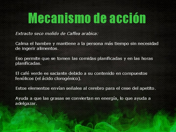 Mecanismo de acción Extracto seco molido de Caffea arabica: Calma el hambre y mantiene