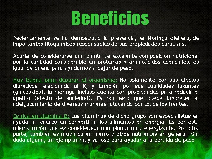 Beneficios Recientemente se ha demostrado la presencia, en Moringa oleifera, de importantes fitoquímicos responsables