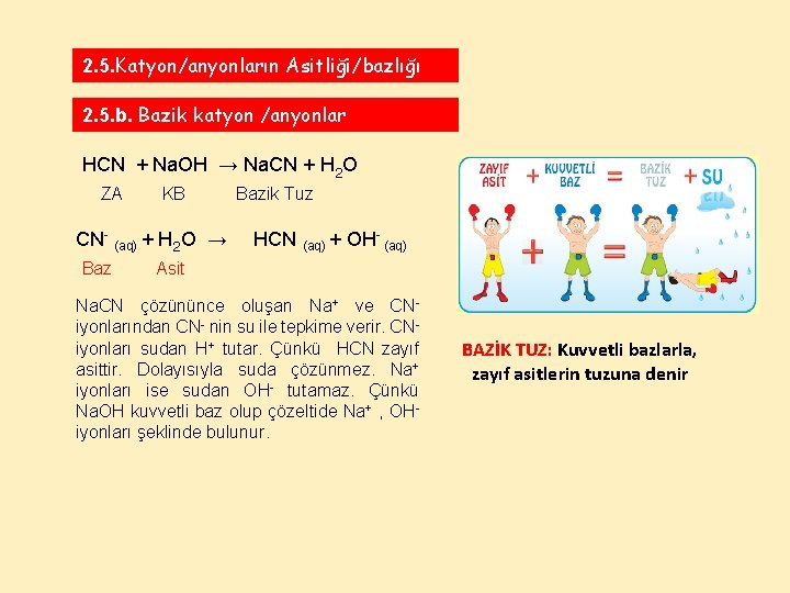 2. 5. Katyon/anyonların Asitliği/bazlığı 2. 5. b. Bazik katyon /anyonlar HCN + Na. OH
