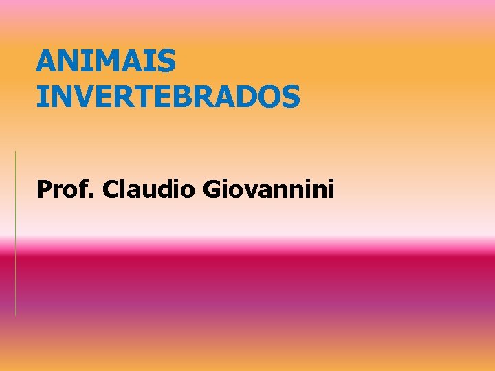 ANIMAIS INVERTEBRADOS Prof. Claudio Giovannini 