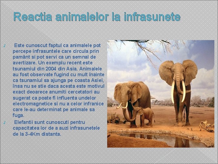 Reactia animalelor la infrasunete ♪ ♪ Este cunoscut faptul ca animalele pot percepe infrasuntele