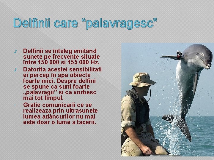 Delfinii care “palavragesc” ♪ ♪ Delfinii se înteleg emitând sunete pe frecvente situate între