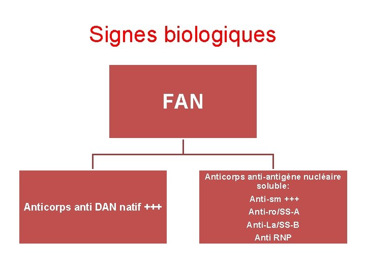 Signes biologiques FAN Anticorps anti DAN natif +++ Anticorps anti-antigène nucléaire soluble: Anti-sm +++