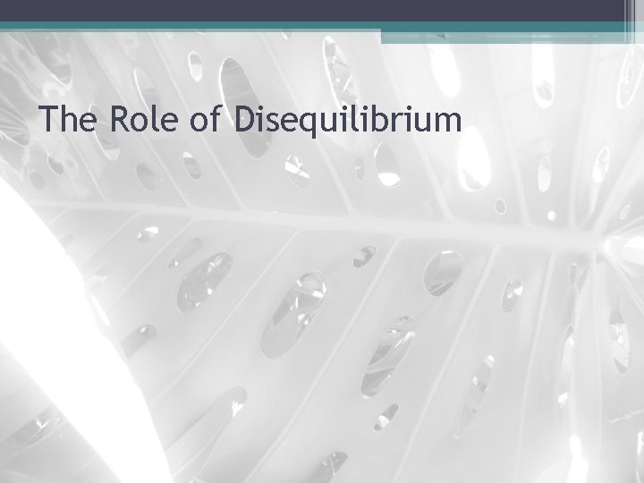 The Role of Disequilibrium 