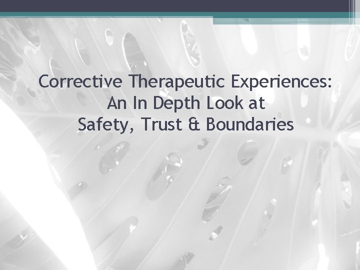 Corrective Therapeutic Experiences: An In Depth Look at Safety, Trust & Boundaries 