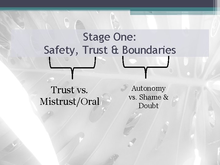 Stage One: Safety, Trust & Boundaries Trust vs. Mistrust/Oral Autonomy vs. Shame & Doubt
