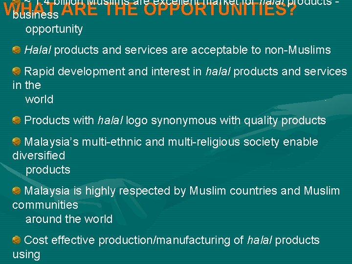  ~ 1. 4 billion Muslims are excellent market for halal products - WHAT