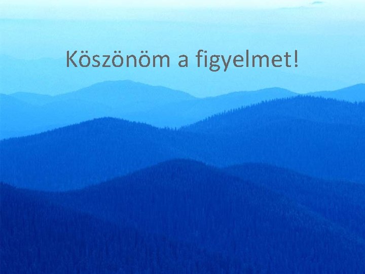 Köszönöm a figyelmet! Köszönöm a figyelmet!