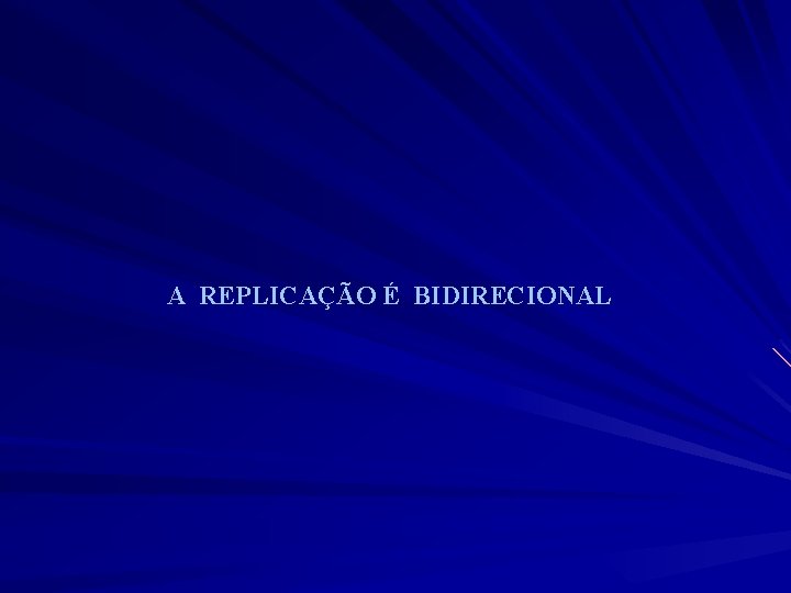 A REPLICAÇÃO É BIDIRECIONAL A REPLICAÇÃO É BIDIRECIONAL