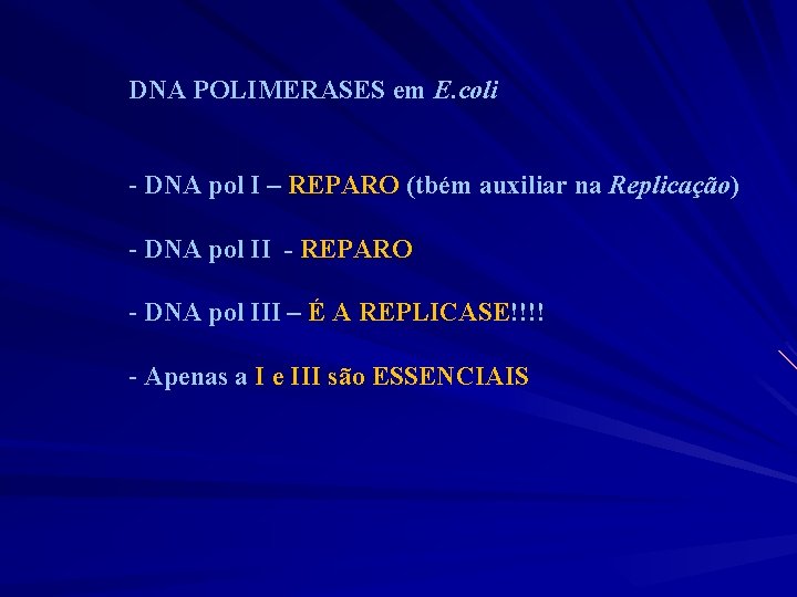 DNA POLIMERASES em E. coli - DNA pol I – REPARO (tbém auxiliar na
