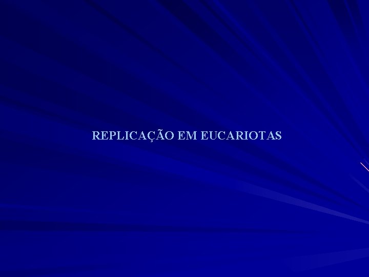 REPLICAÇÃO EM EUCARIOTAS 