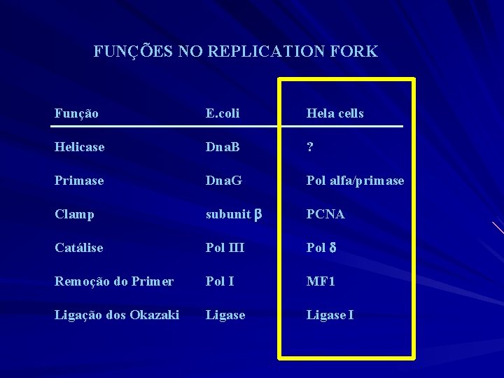 FUNÇÕES NO REPLICATION FORK Função E. coli Hela cells Helicase Dna. B ? Primase