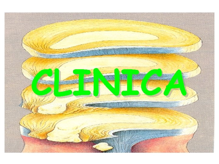 CLINICA 