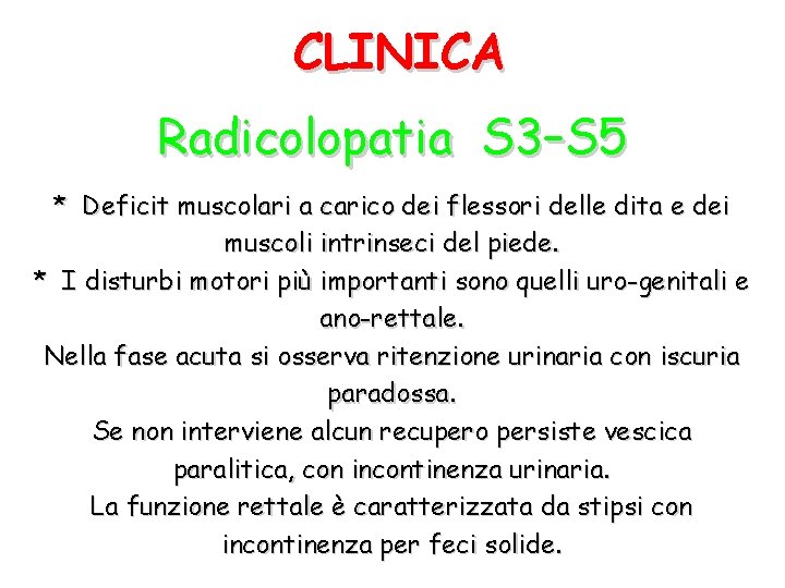 CLINICA Radicolopatia S 3–S 5 * Deficit muscolari a carico dei flessori delle dita