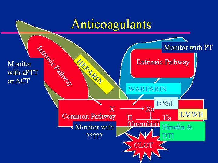 Anticoagulants Extrinsic Pathway H IN R A ay thw Pa EP ic Monitor with