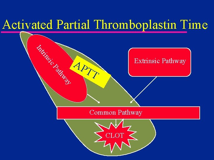 Activated Partial Thromboplastin Time ic ns tri In Extrinsic Pathway ay thw Pa AP