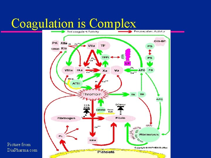 Coagulation is Complex Picture from Dia. Pharma. com 